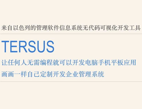 畫(huà)畫(huà)一樣開(kāi)發(fā)軟件 Tersus讓任何人可以無(wú)代碼開(kāi)發(fā)手機(jī)電腦軟件